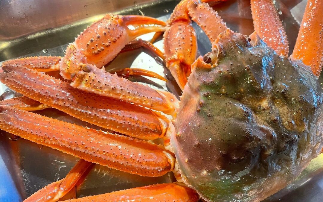 2024年12月22日(日)