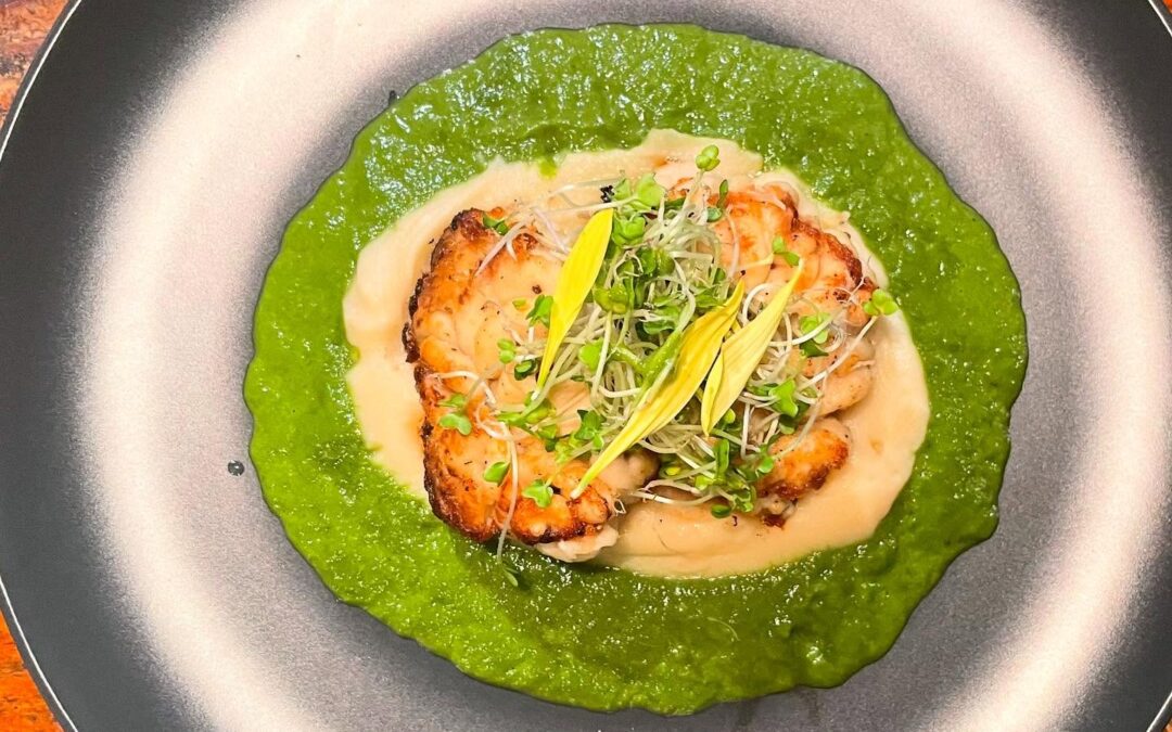 2024年12月20日(金)