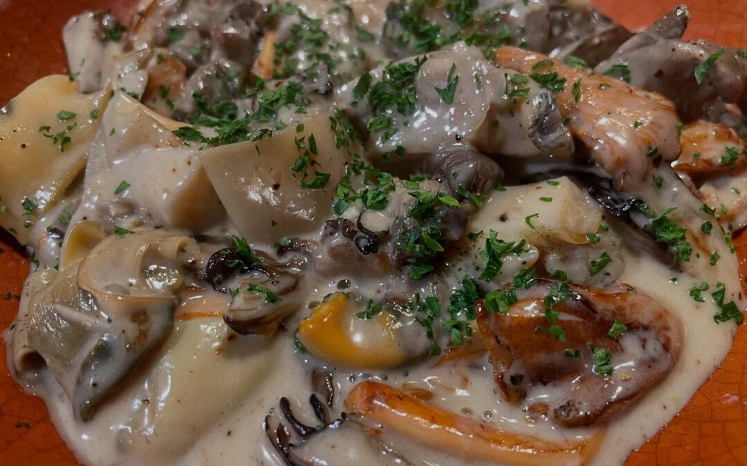 2024年12月20日(金)