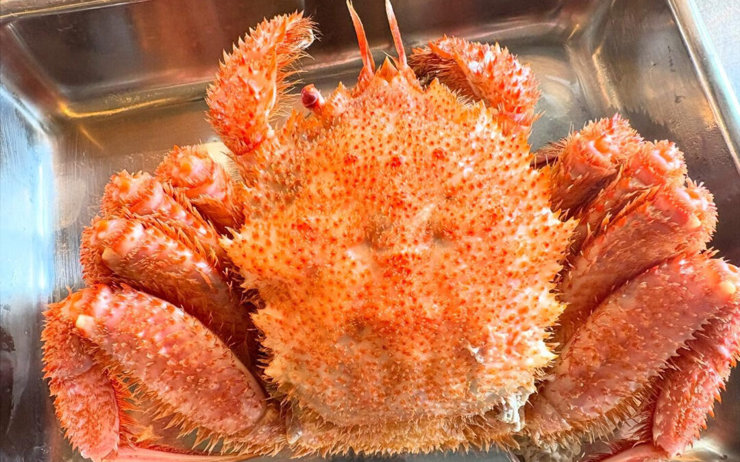 2025年2月16日(日)