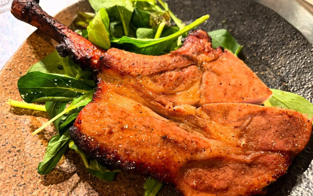 2025年2月15日(土)