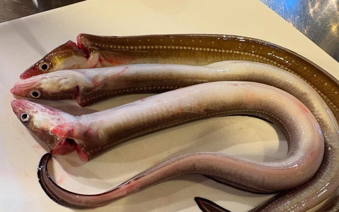 2025年2月18日(火)