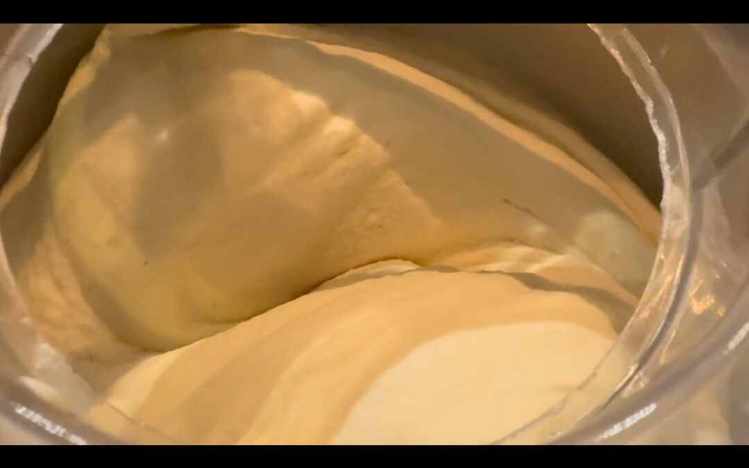 2025年3月6日(木)