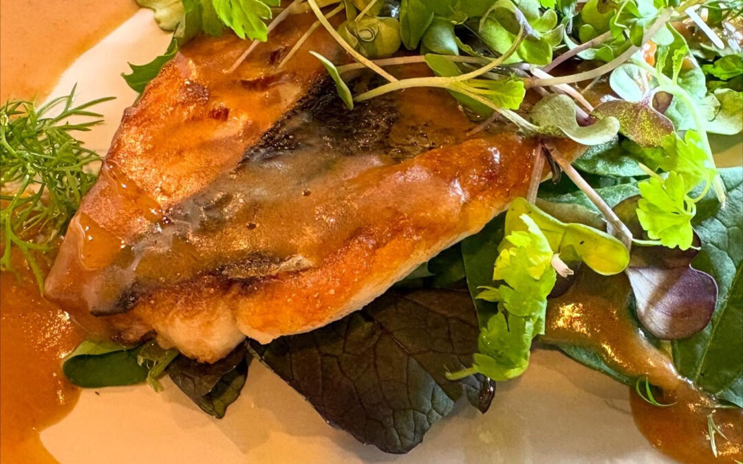 2025年6月14日(土)