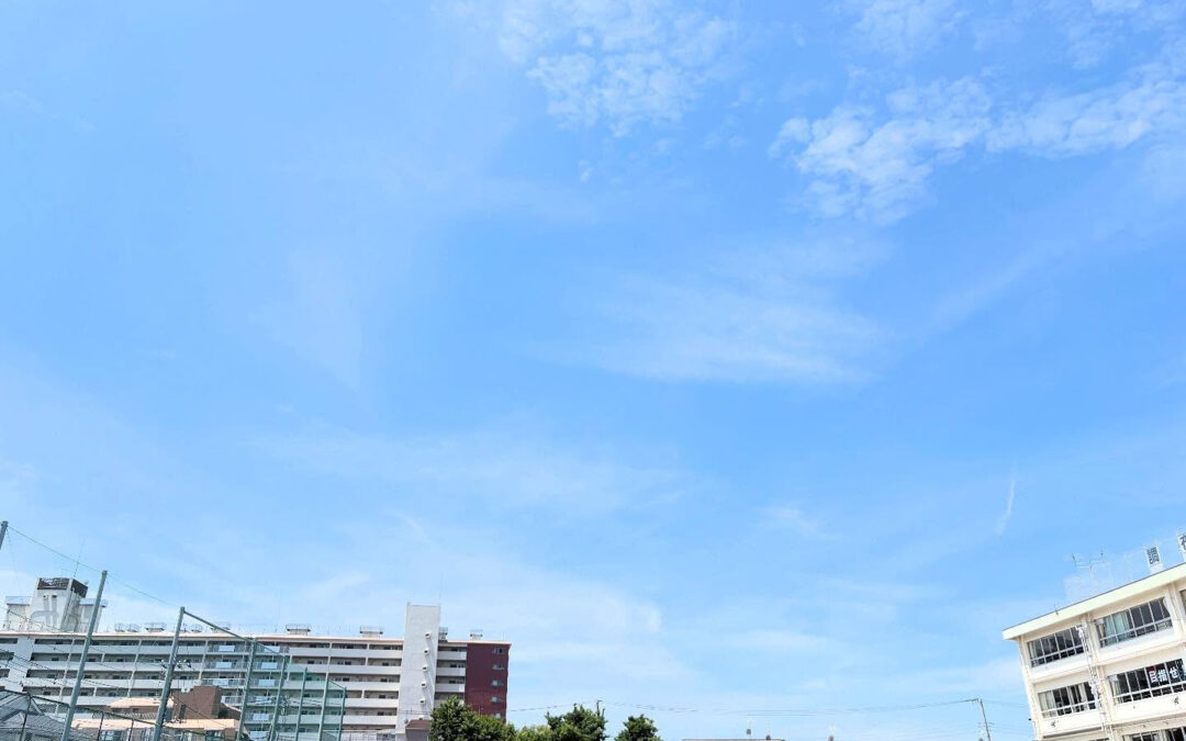 2025年6月7日(土)