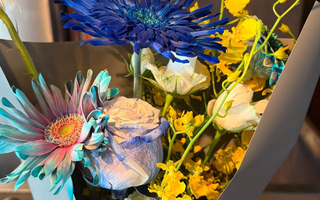 2025年6月24日(火)