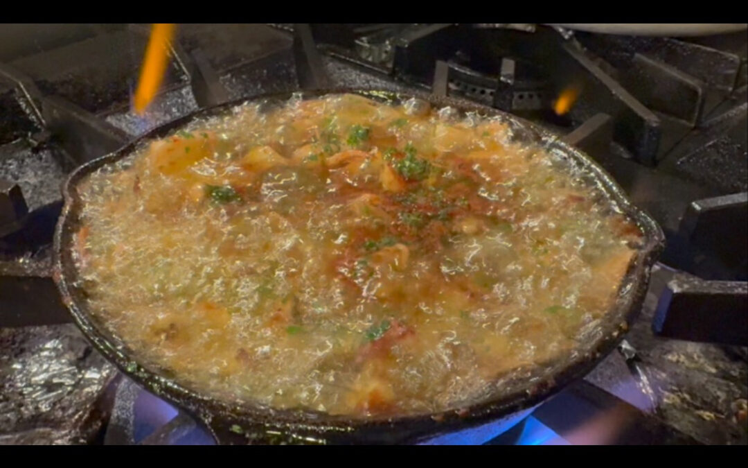 2025年8月26日(火)