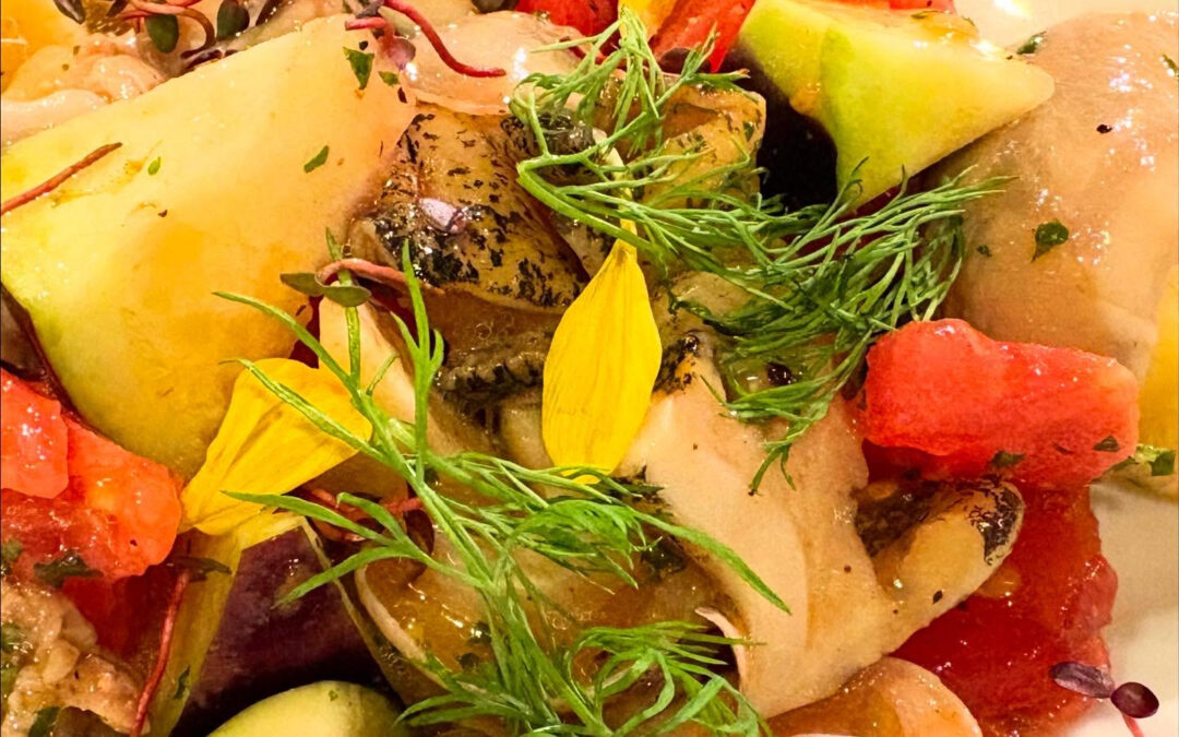 2025年8月19日(火)