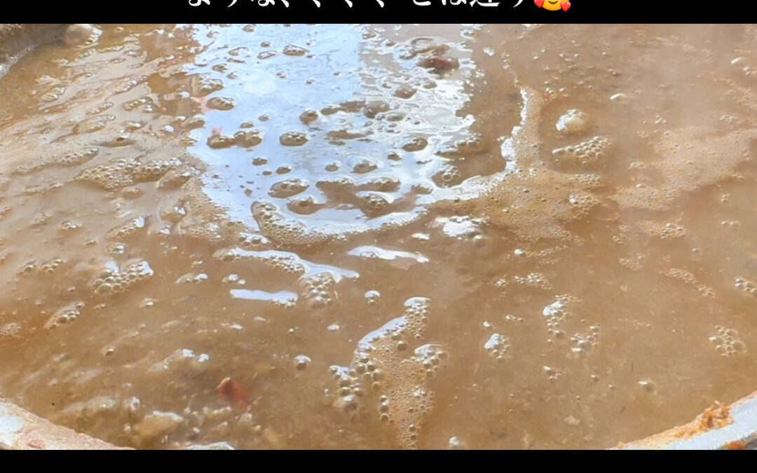 2025年8月29日(金)