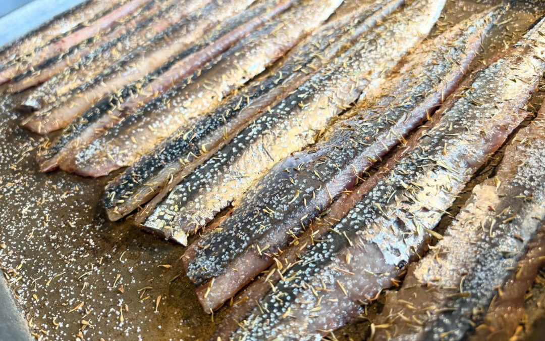 2025年9月23日(火)