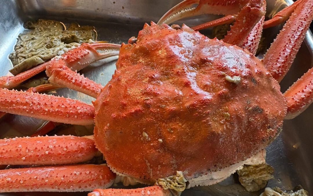 2025年9月15日(月)