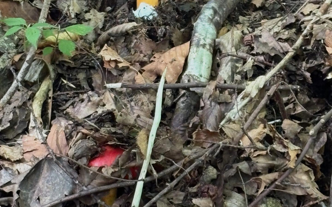 2025年9月28日(日)