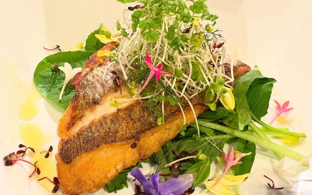 2025年9月22日(月)