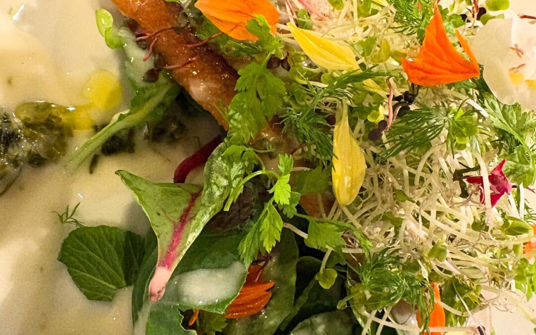 2025年9月11日(木)