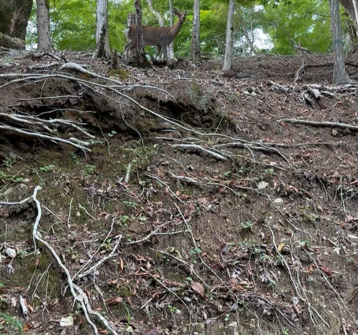 2025年10月2日(木)