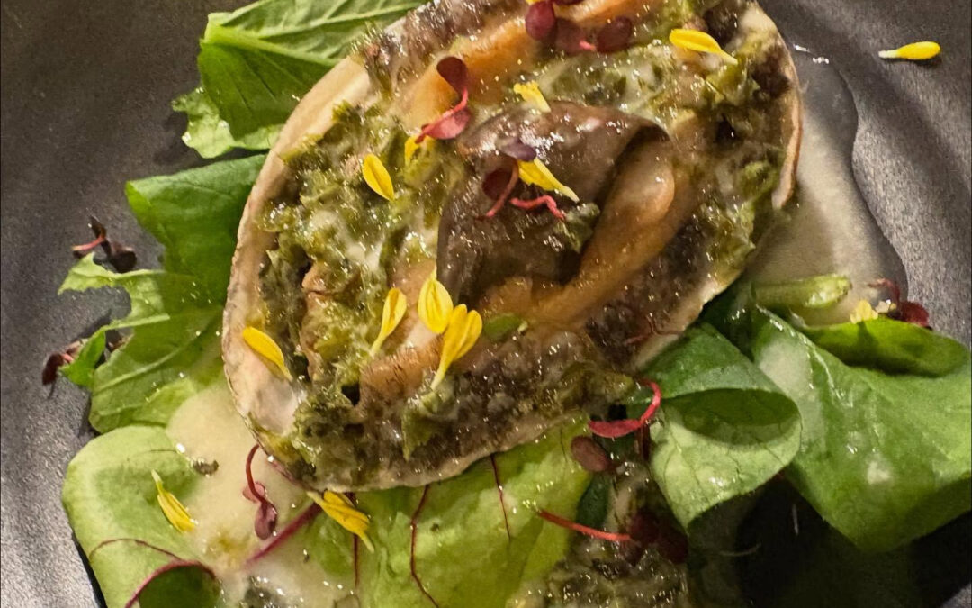 2025年10月26日(日)