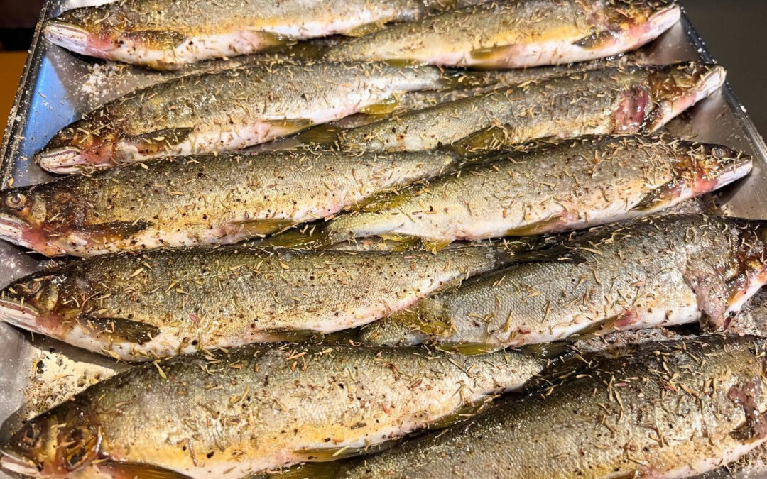 2025年10月7日(火)