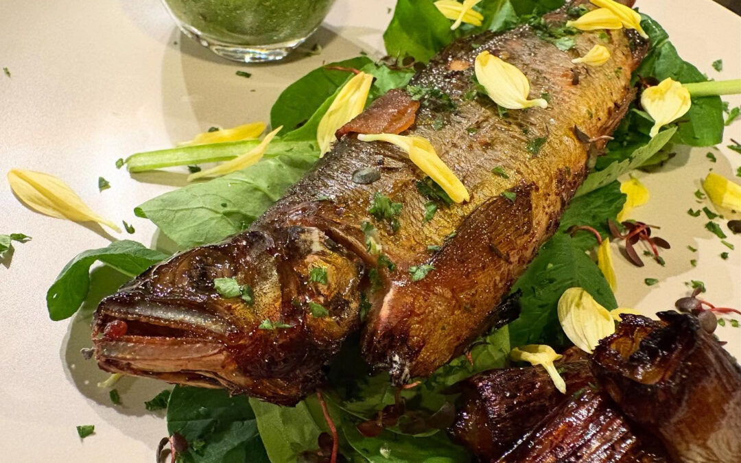 2025年10月10日(金)