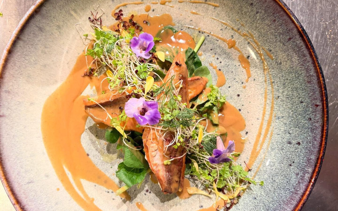 2025年10月4日(土)