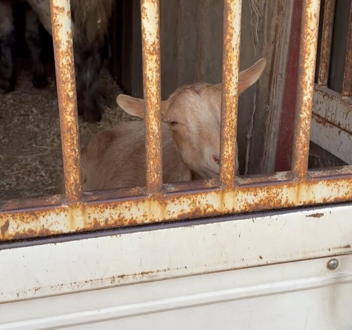 2025年10月19日(日)