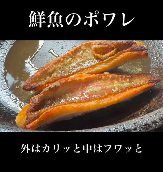 2025年10月11日(土)