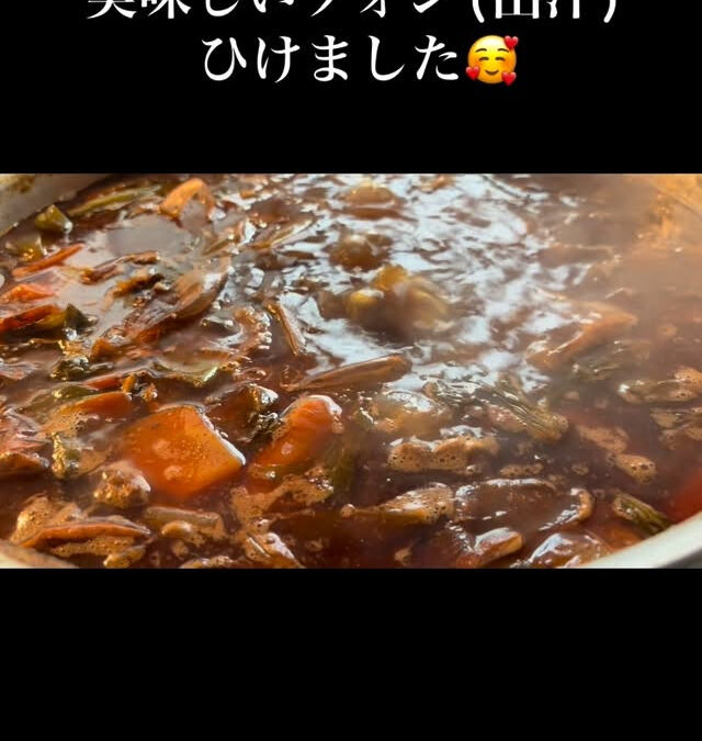 2025年11月1日(土)