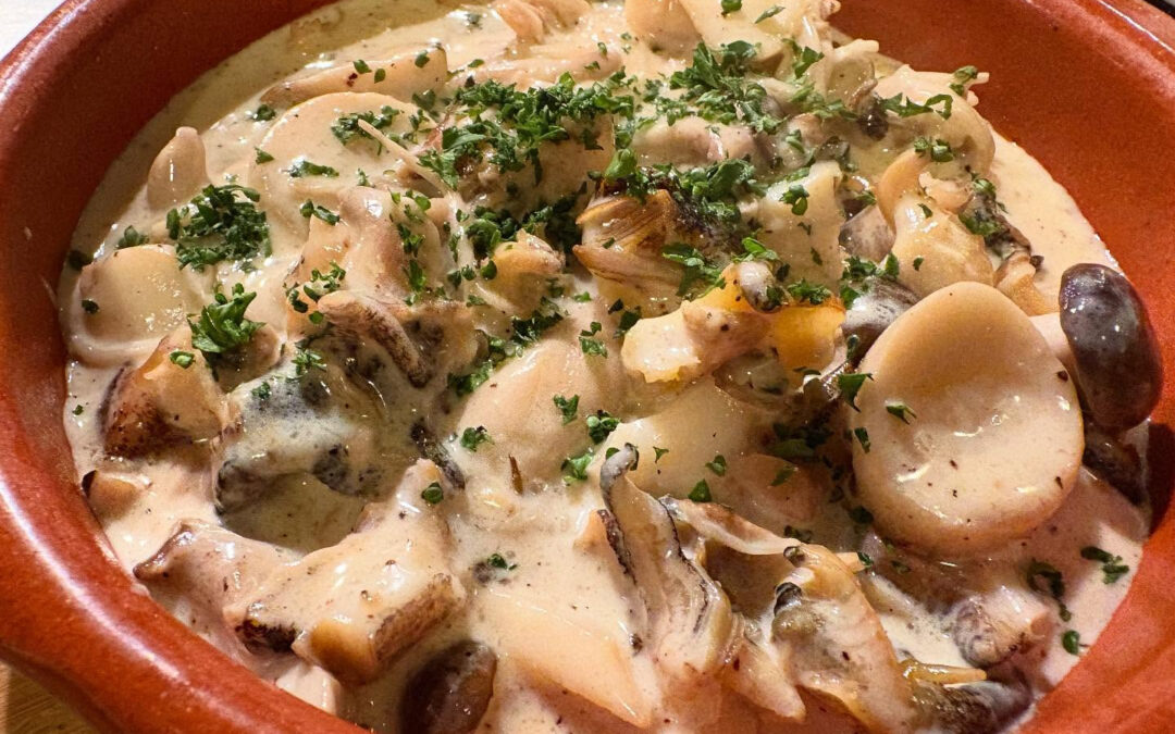 2025年11月16日(日)