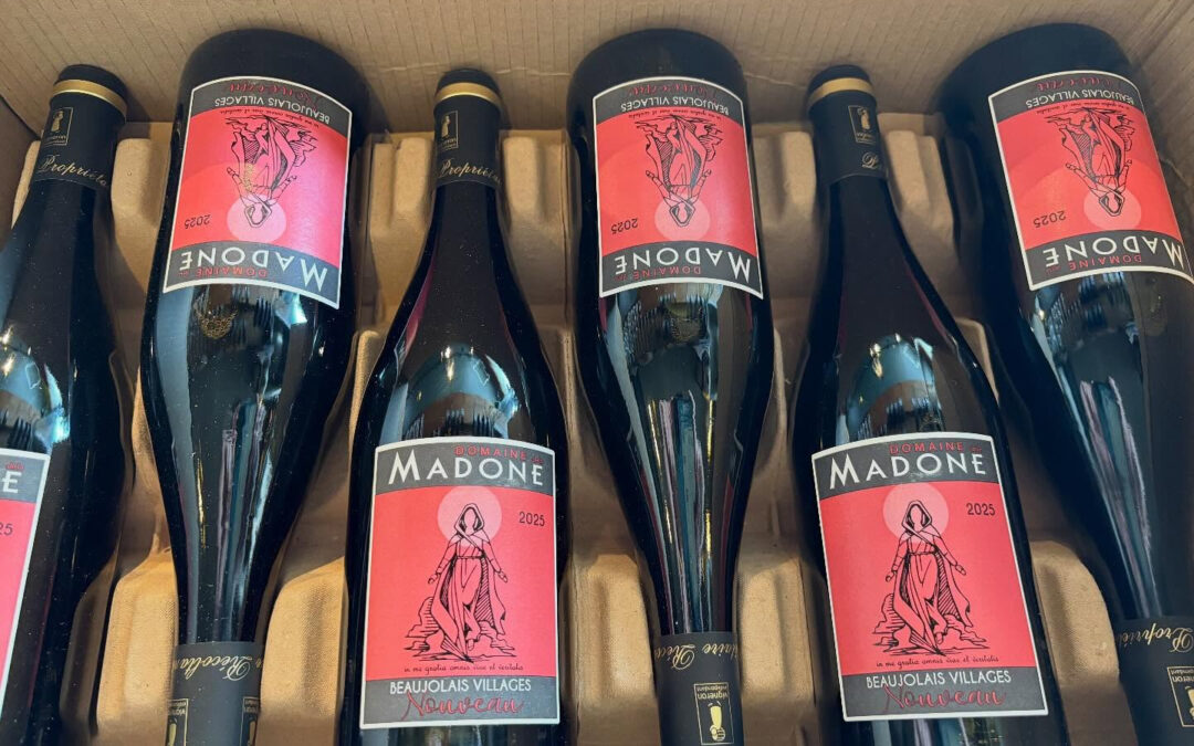 2025年11月20日(木)