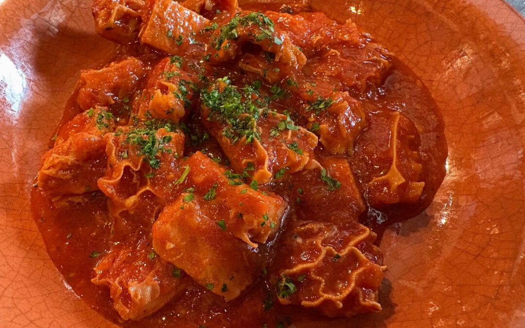 2025年11月15日(土)