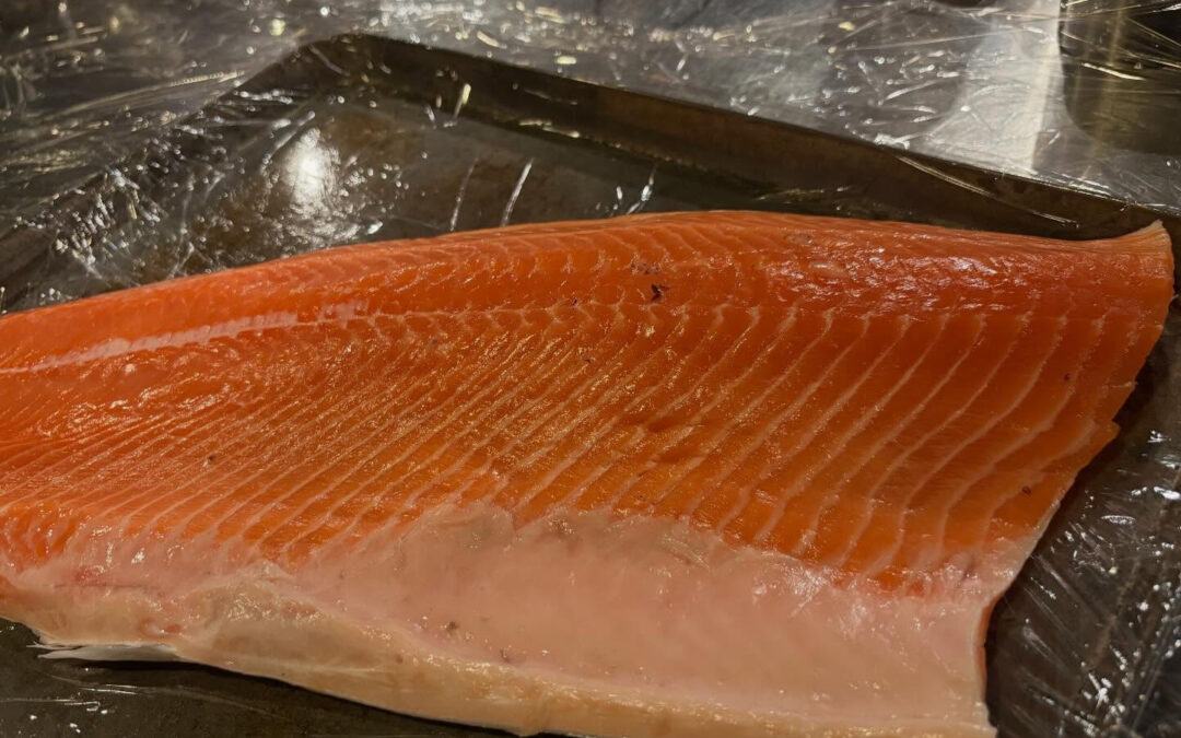 2025年12月4日(木)