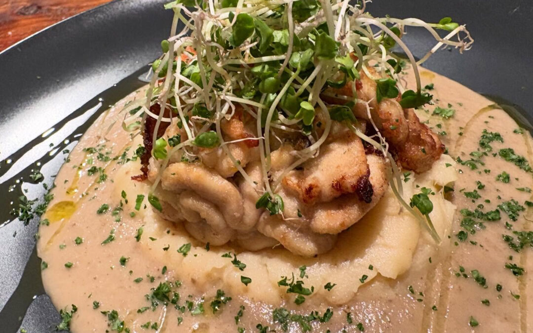 2026年1月26日(月)