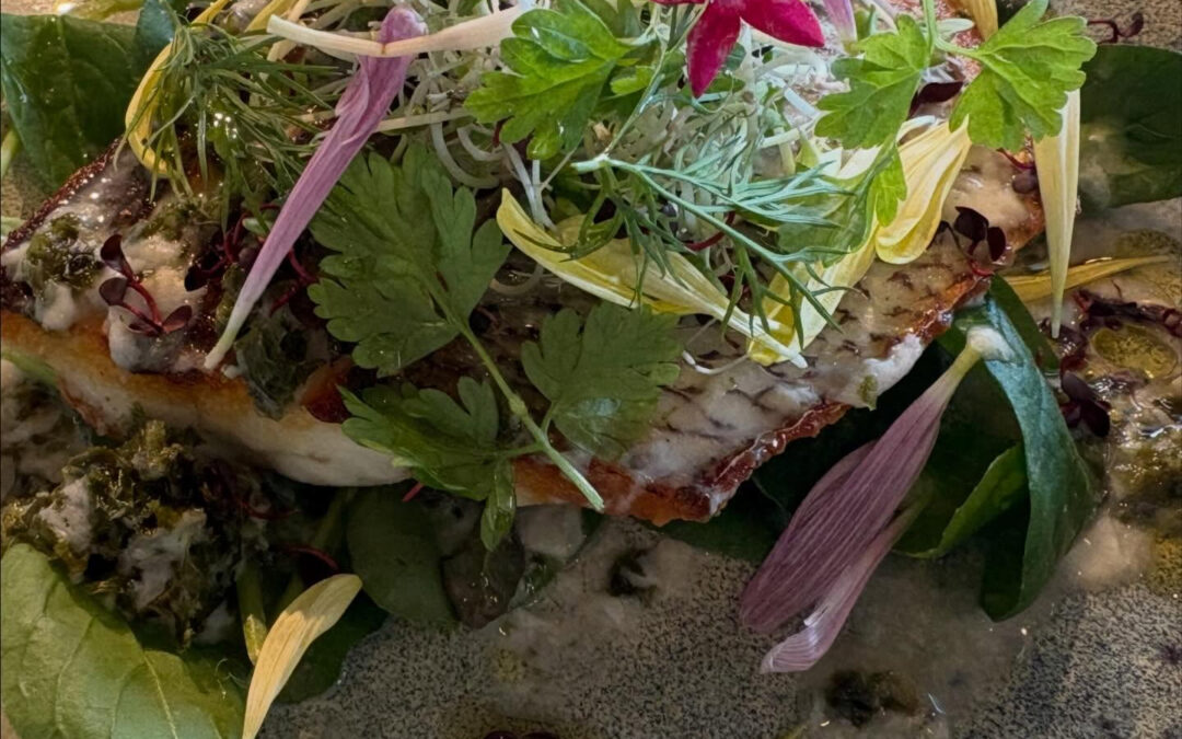 2026年1月23日(金)