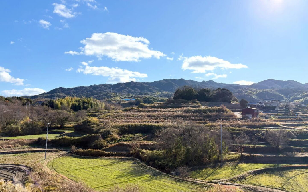 2026年1月10日(土)
