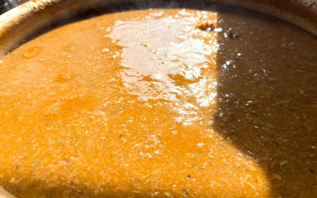 2026年2月22日(日)