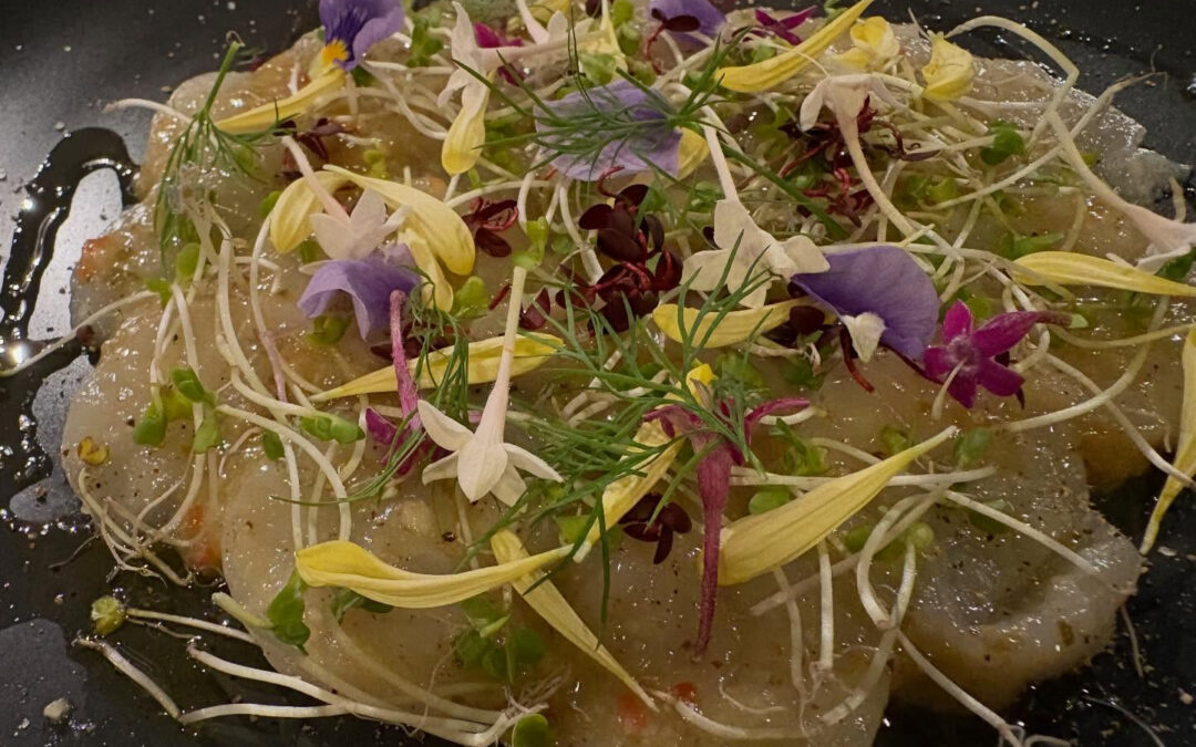 2026年2月19日(木)