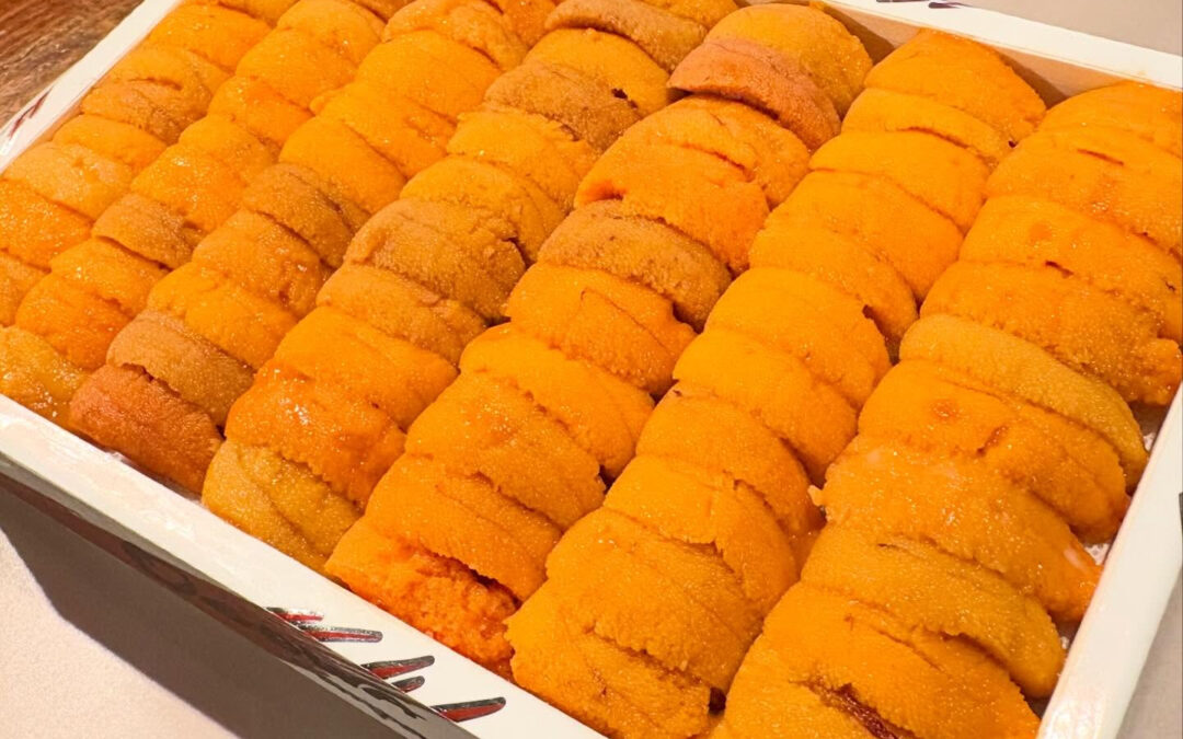 2026年3月9日(月)